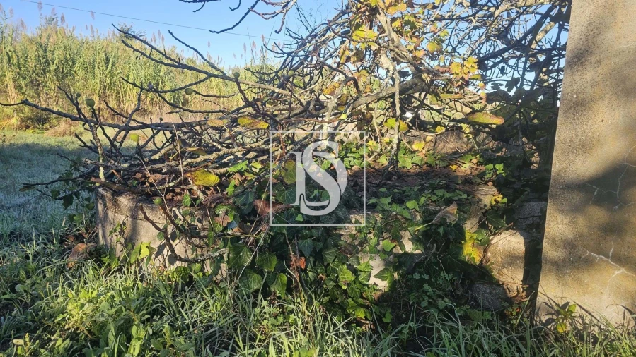 Terreno para Venda em Alqueidão Foto 17