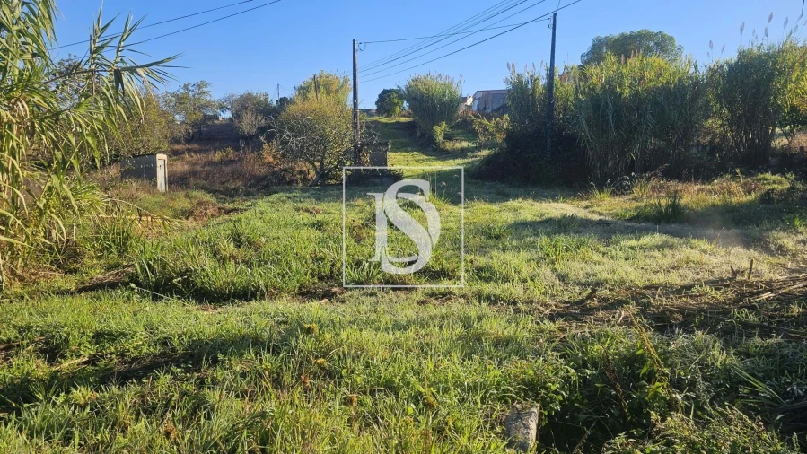 Terreno para Venda em Alqueidão Foto 9