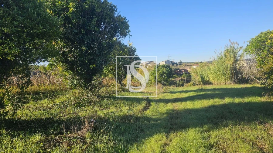 Terreno para Venda em Alqueidão Foto 33