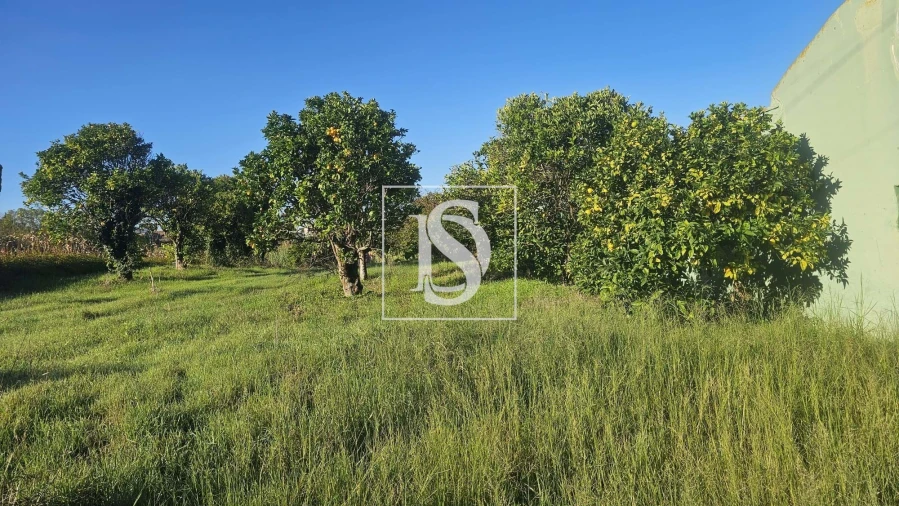 Terreno para Venda em Alqueidão Foto 35