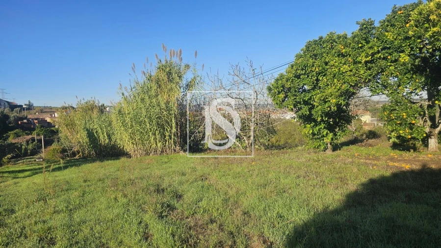 Terreno para Venda em Alqueidão Foto 30