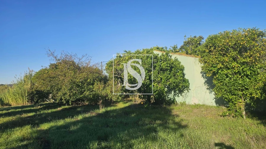 Terreno para Venda em Alqueidão Foto 32