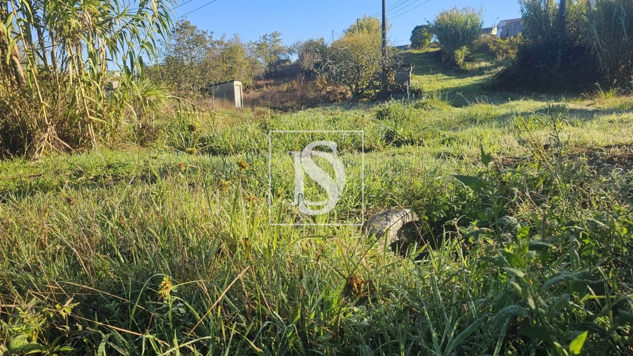 Terreno para Venda em Alqueidão Foto 14