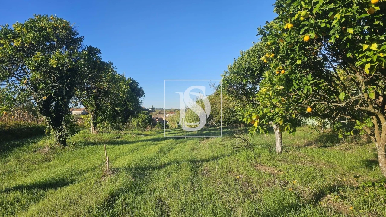 Terreno para Venda em Alqueidão Foto 34