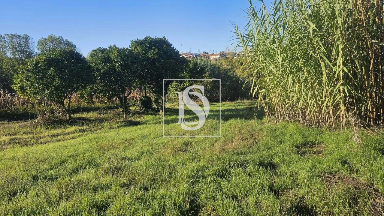 Terreno para Venda em Alqueidão Foto 27