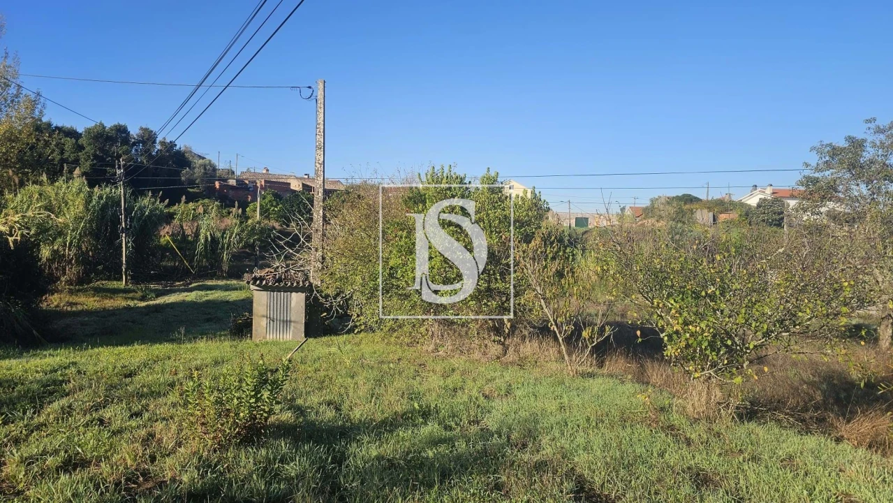Terreno para Venda em Alqueidão Foto 19