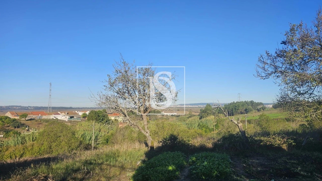 Terreno para Venda em Alqueidão Foto 29