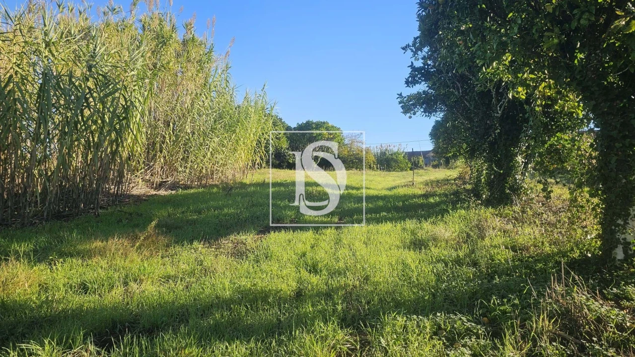 Terreno para Venda em Alqueidão Foto 21