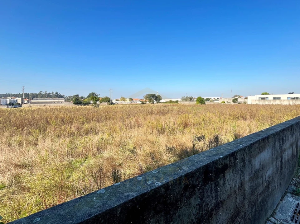 Terreno para Venda em Póvoa de Varzim, Beiriz e Argivai Foto 5