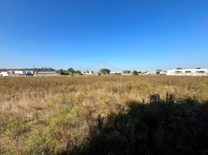 Terreno para Venda em Póvoa de Varzim, Beiriz e Argivai Foto 4