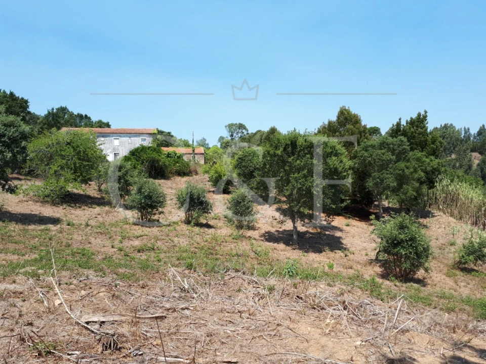 Terreno para Venda em Santa Maria e São Miguel, São Martinho, São Pedro Penaferrim Foto 6