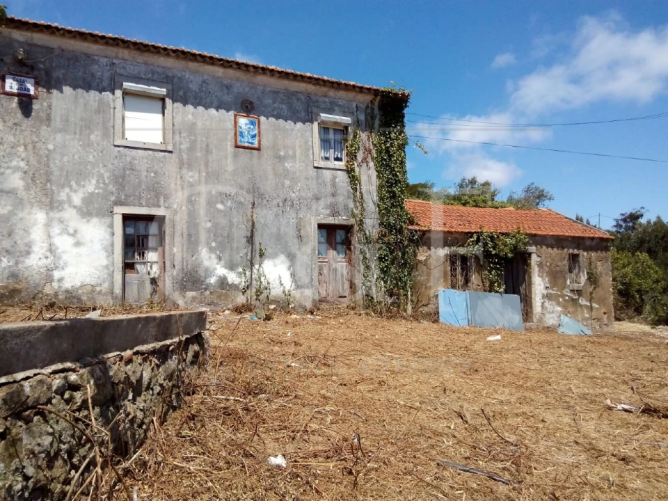 Terreno para Venda em Santa Maria e São Miguel, São Martinho, São Pedro Penaferrim Foto 3