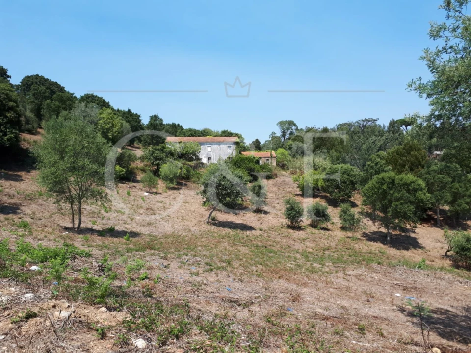 Terreno para Venda em Santa Maria e São Miguel, São Martinho, São Pedro Penaferrim Foto 7