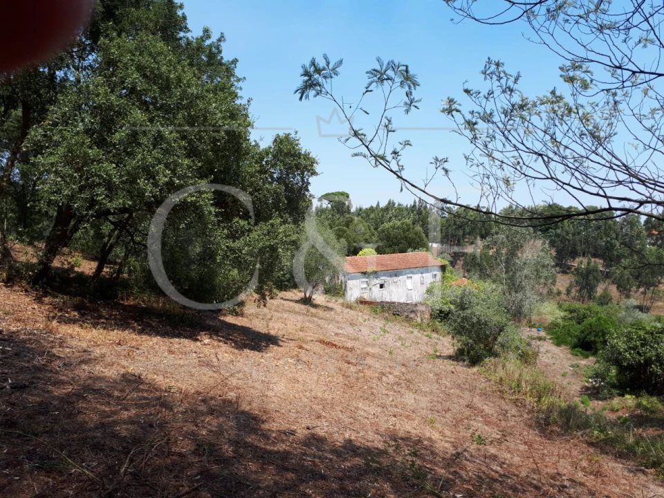Terreno para Venda em Santa Maria e São Miguel, São Martinho, São Pedro Penaferrim Foto 1