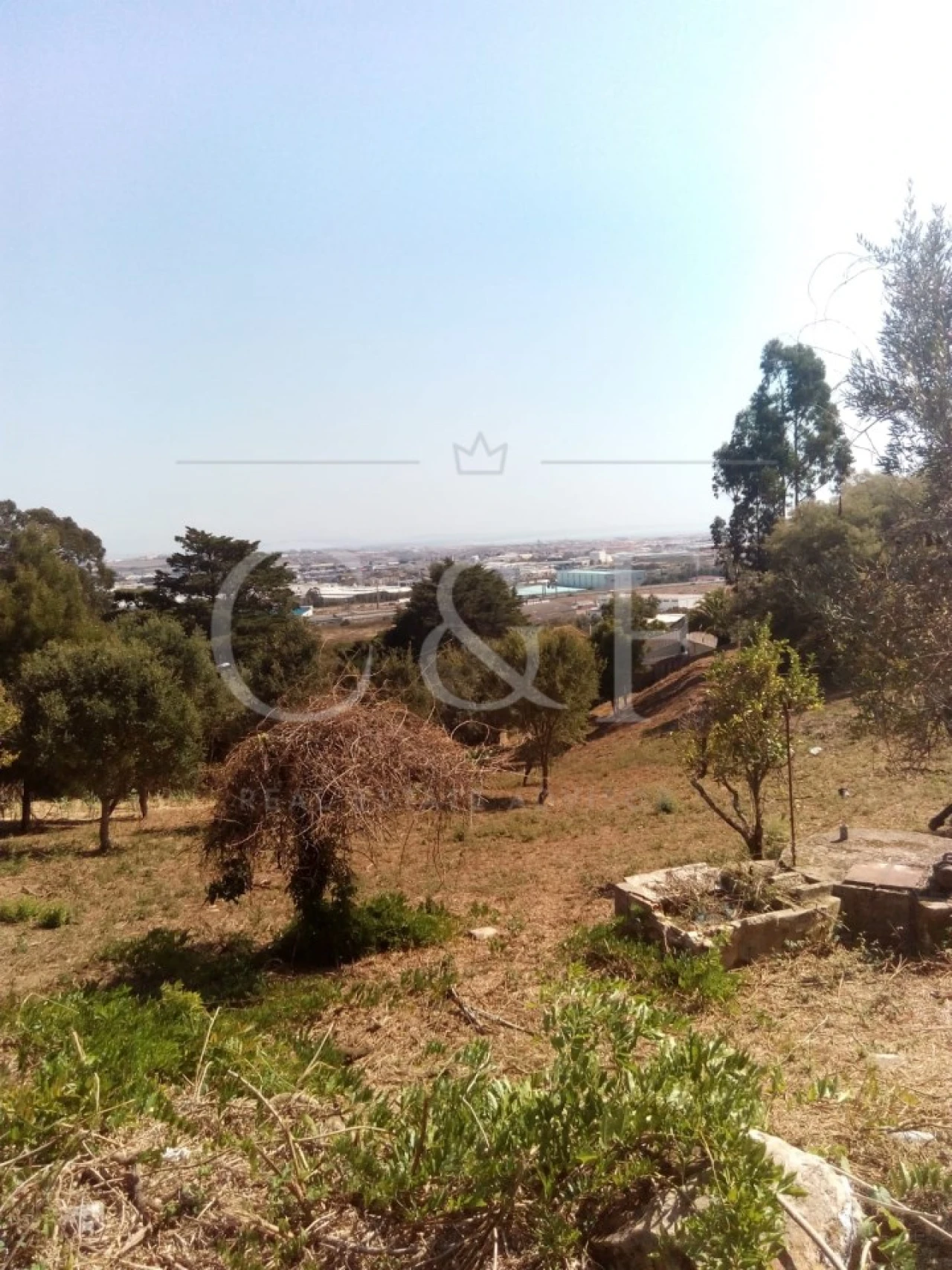 Terreno para Venda em Santa Maria e São Miguel, São Martinho, São Pedro Penaferrim Foto 15