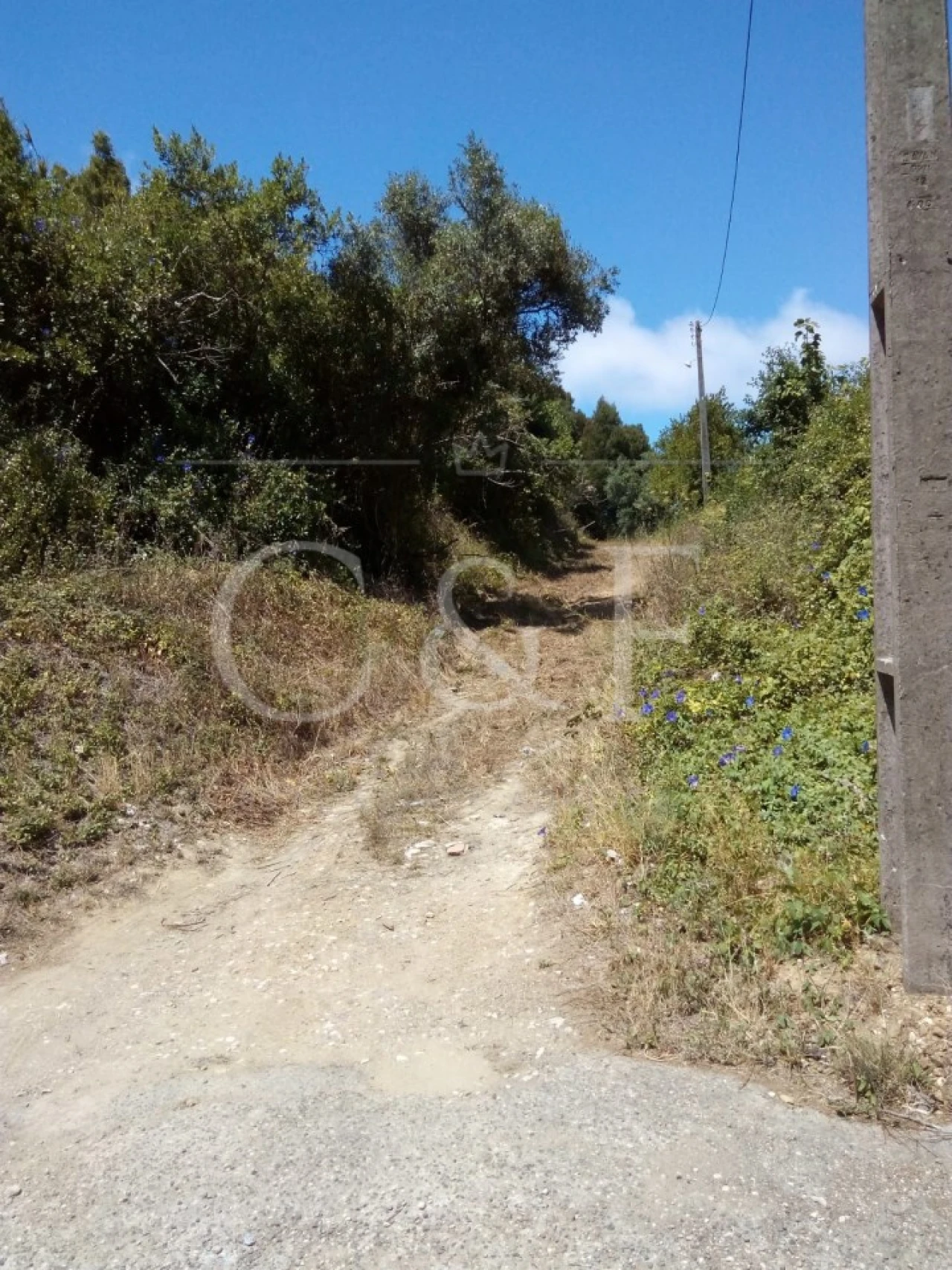 Terreno para Venda em Santa Maria e São Miguel, São Martinho, São Pedro Penaferrim Foto 16