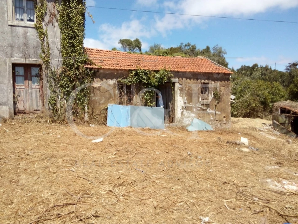 Terreno para Venda em Santa Maria e São Miguel, São Martinho, São Pedro Penaferrim Foto 4