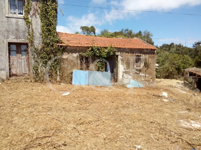 Terreno para Venda em Santa Maria e São Miguel, São Martinho, São Pedro Penaferrim Foto 4
