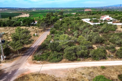 Terreno para Venda em Silves