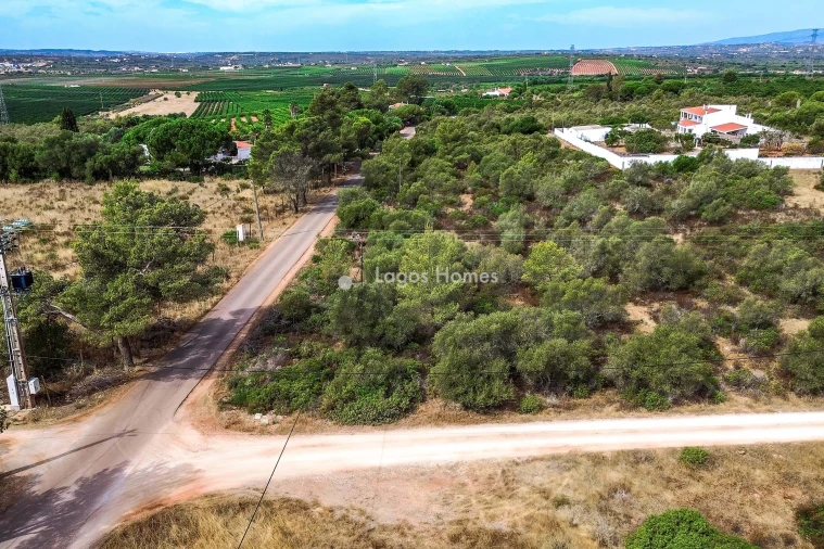 Terreno para Venda em Silves Foto 5