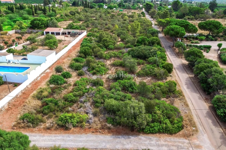 Terreno para Venda em Silves Foto 6