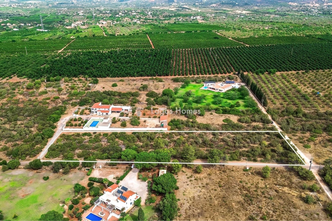 Terreno para Venda em Silves Foto 4