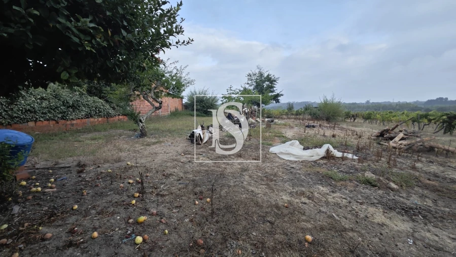 Moradia T3 para Venda em Amoreira da Gândara, Paredes do Bairro e Ancas Foto 21