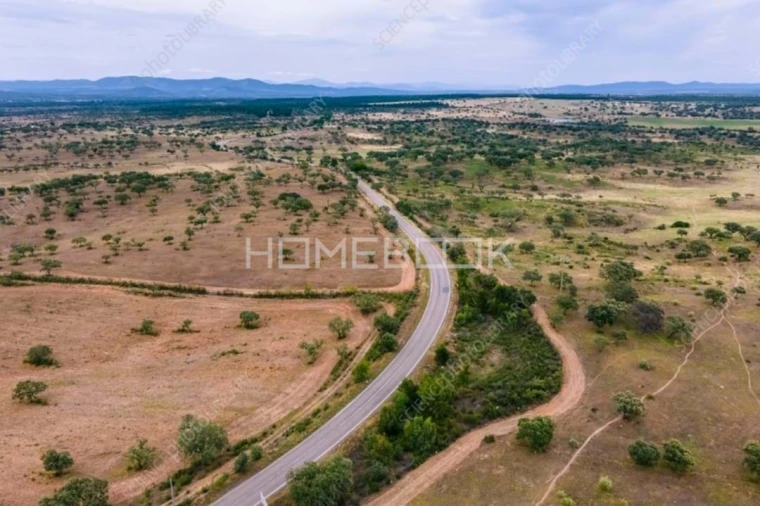 Terreno para Venda em Zibreira Foto 8