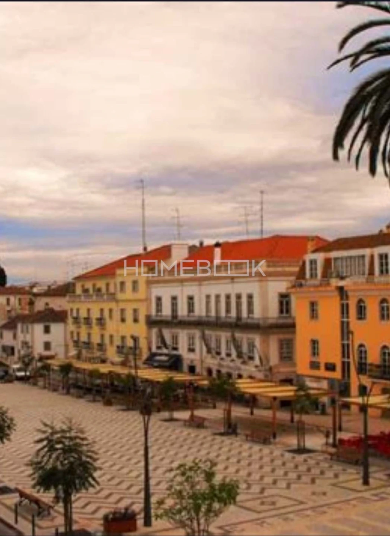 Terreno para Venda em Zibreira Foto 13