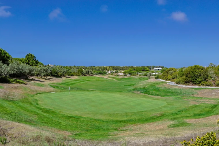 Moradia T3 para Venda em Vau Foto 68