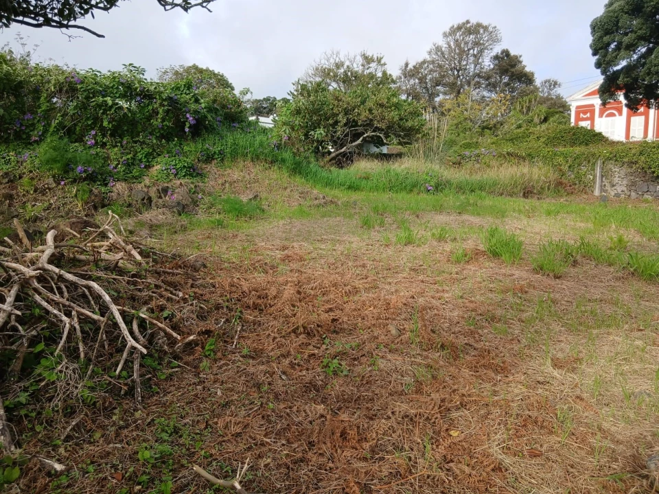 Terreno para Venda em Ponta Delgada (São Sebastião) Foto 5