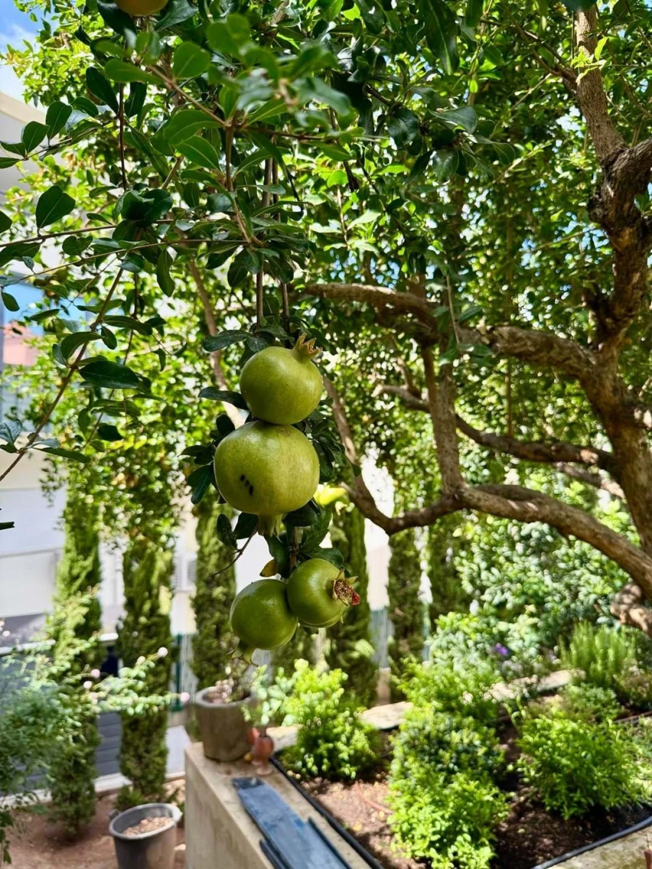 Moradia T3 para Arrendamento em Campolide Foto 31