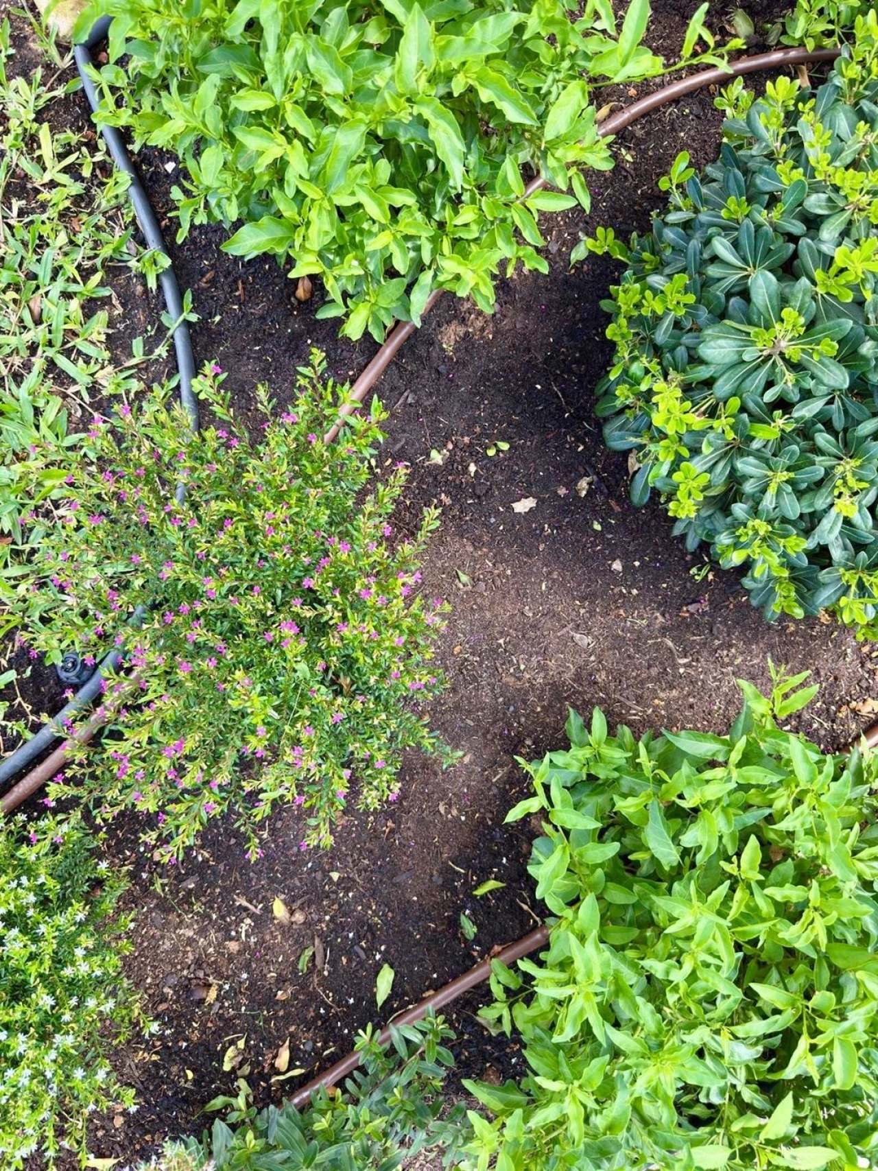 Moradia T3 para Arrendamento em Campolide Foto 28