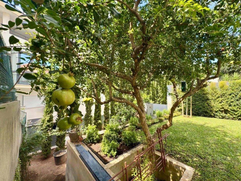 Moradia T3 para Arrendamento em Campolide Foto 30