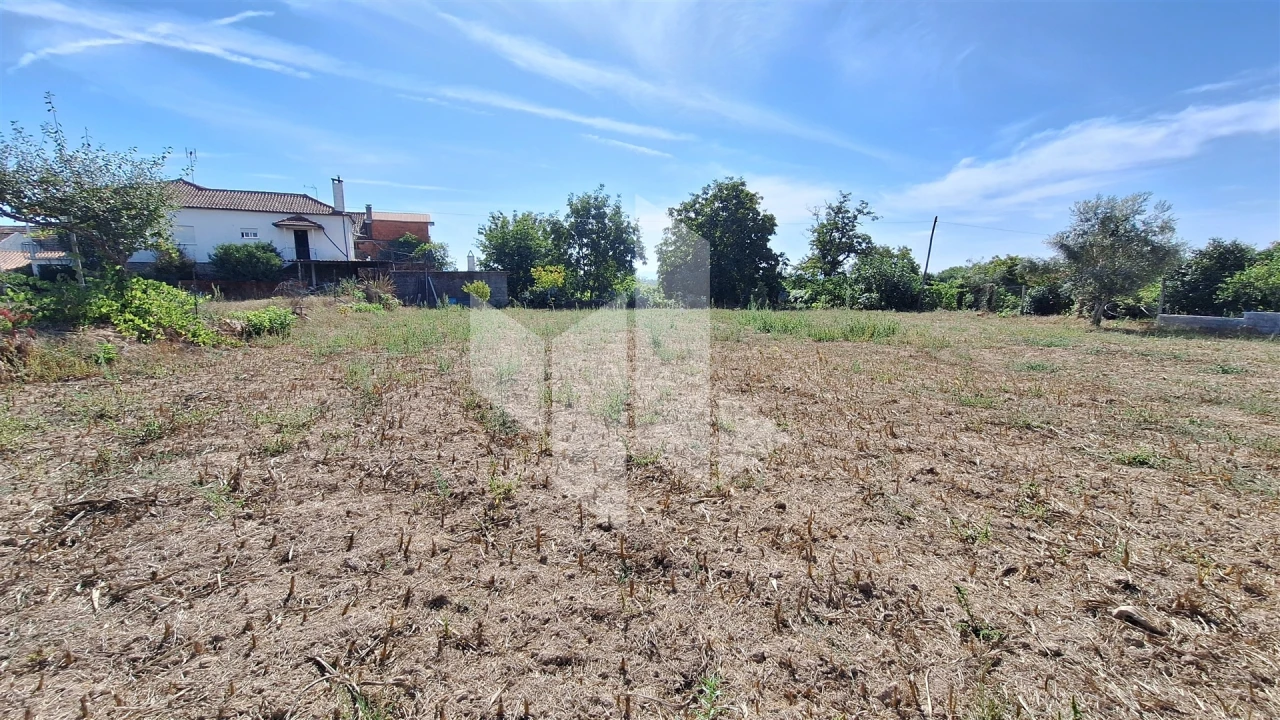Terreno para Venda em Lobão da Beira Foto 3