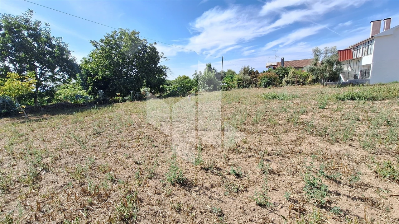 Terreno para Venda em Lobão da Beira Foto 6