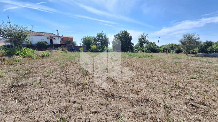 Terreno para Venda em Lobão da Beira Foto 3