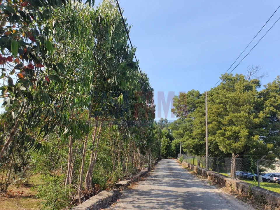 Terreno para Venda em Lousado Foto 4