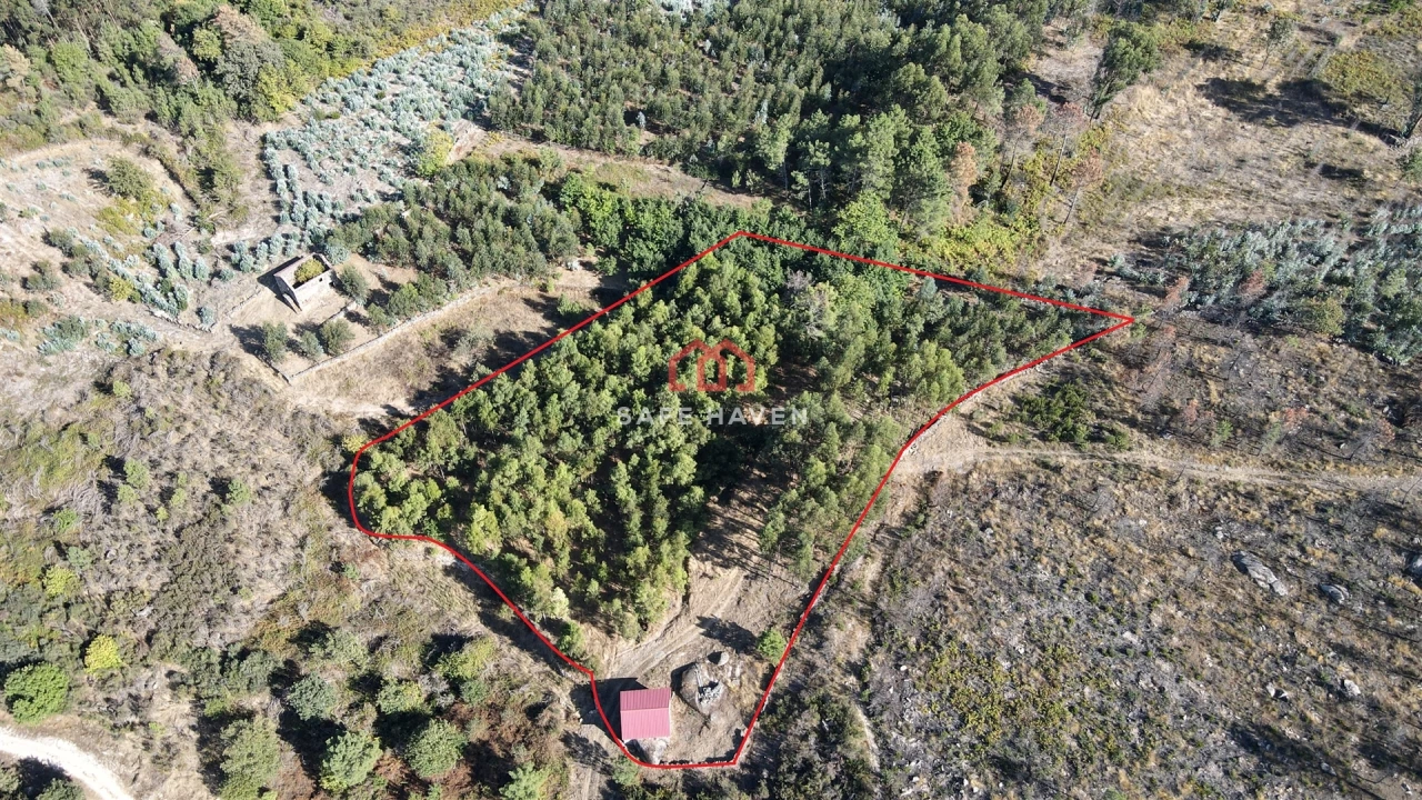 Quinta T2 para Venda em Tavares (Chãs, Várzea e Travanca) Foto 1