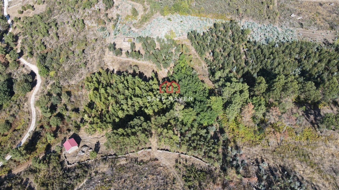 Quinta T2 para Venda em Tavares (Chãs, Várzea e Travanca) Foto 3