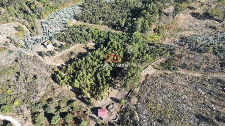 Quinta T2 para Venda em Tavares (Chãs, Várzea e Travanca) Foto 2