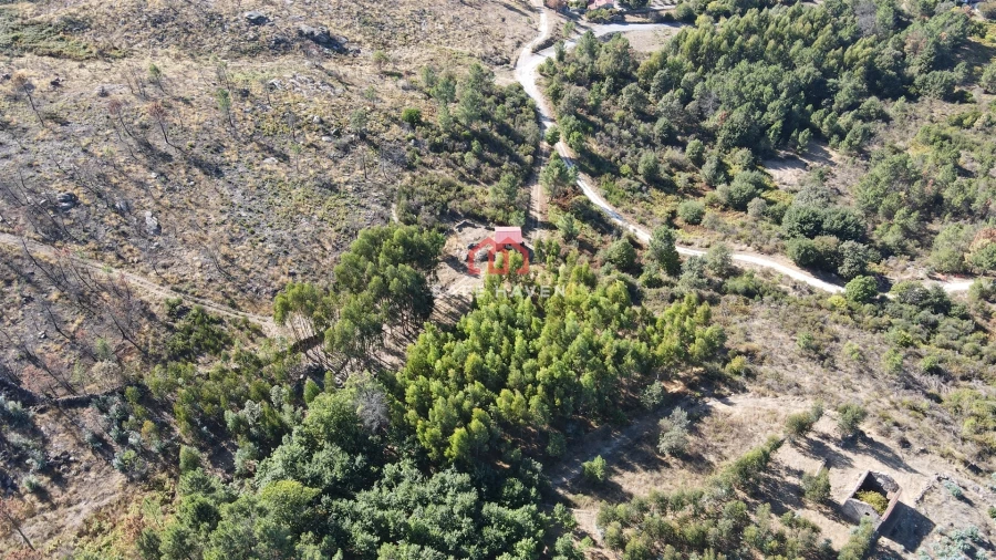 Quinta T2 para Venda em Tavares (Chãs, Várzea e Travanca) Foto 5