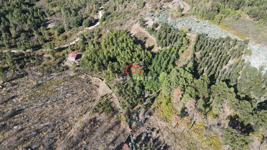 Quinta T2 para Venda em Tavares (Chãs, Várzea e Travanca) Foto 4