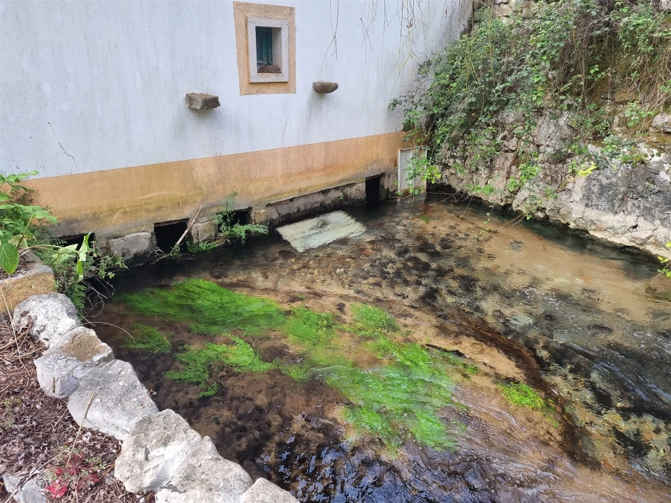 Quinta T0 para Venda em Redinha Foto 10