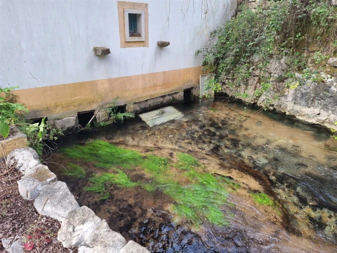 Quinta T0 para Venda em Redinha Foto 10