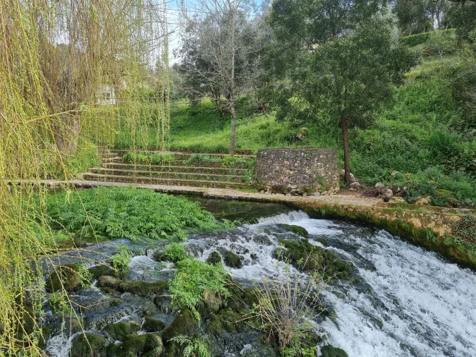 Quinta T0 para Venda em Redinha Foto 6