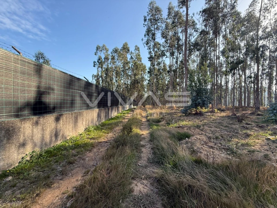 Terreno Agricola ou Rústico para Venda em Associação de Freguesias do Vale do Neiva Foto 2