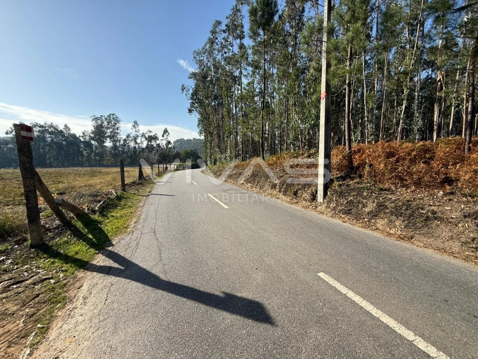 Terreno Agricola ou Rústico para Venda em Associação de Freguesias do Vale do Neiva Foto 1
