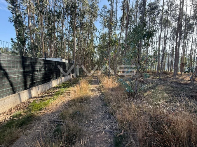 Terreno Agricola ou Rústico para Venda em Associação de Freguesias do Vale do Neiva Foto 3