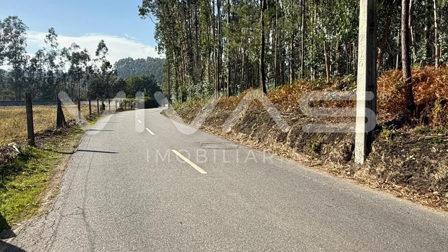 Terreno Agricola ou Rústico para Venda em Associação de Freguesias do Vale do Neiva